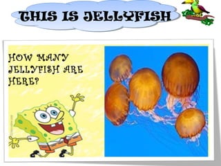 THIS IS JELLYFISH
THIS IS JELLYFISH
HOW MANY
JELLYFISH ARE
HERE?

 