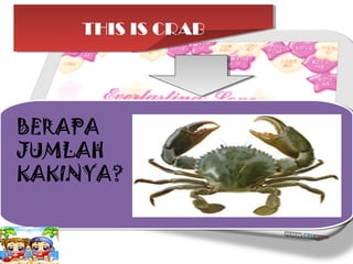 THIS IS CRAB
THIS IS CRAB

BERAPA
BERAPA
JUMLAH
JUMLAH
KAKINYA?
KAKINYA?

 
