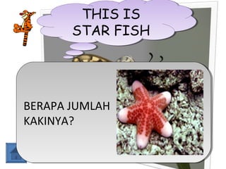 THIS IS
THIS IS
STAR FISH
STAR FISH

BERAPA JUMLAH
BERAPA JUMLAH
KAKINYA?
KAKINYA?

 