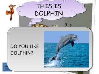 THIS IS
THIS IS
DOLPHIN
DOLPHIN

DO YOU LIKE
DO YOU LIKE
DOLPHIN?
DOLPHIN?

 
