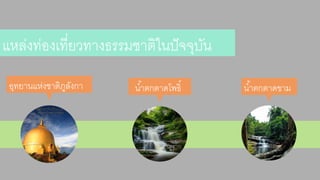 แหล่งท่องเที่ยวทำงธรรมชำติในปัจจุบัน 
อุทยำนแห่งชำติภูลังกำ นำ้ตกตำดโพธิ์นำ้ตกตำดขำม 
 