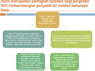 Fasa 1: Bermula
dengan HIV
menjangkiti
seseorang individu.

Fasa 5: Pesakit tersebut disahkan
sebagai pesakit AIDS. Di dalam fasa ini,
mekanisme pertahanan mengalami
kemusnahan yang teruk dan sudah tidak
mampu lagi untuk melawan serangan
bakteria, virus dan kuman-kuman lain.

Fasa 4: Pesakit mula
mengalami penyakitpenyakit yang jarang
berlaku yang digelar
‘infeksi oportunistik’ seperti
Pneumocystis Carinii
Pneumonia dan kanser
termasuk Sarkoma Kaposi.

Fasa 2: Di mana virus tersebut membiak
tetapi pesakit masih tidak mempamerkan
sebarang tanda-tanda atau gejala-gejala
yang tertentu.

Fasa 3: Membiak dan
berkembang membawa
kepada kewujudan
beberapa tanda dan gejala
yang memburukkan lagi
mekanisme pertahanan
tubuh.

 