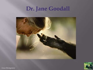   Dr. Jane Goodall Grace Montgomery 