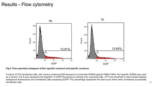 Results - Flow cytometry
Fig 6. Flow cytometry histogram of Non specific construct and specific construct.
A culture of P19 transfected cells, with vectors containing DNA sequence to transcribe ShRNA against FMNL2 RNA. Non-specific ShRNA was used
as a control. The X-axis represents the logarithm of EGFP fluorescence intensity from individual cells; 100
is the threshold to discriminate between
background fluorescence and transfected cells expressing EGFP. The percentage represents the total count which were considered successfully
transfected cells. 13
13.81% 12.60%
 