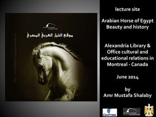 lecture site
Arabian Horse of Egypt
Beauty and history
Alexandria Library &
Office cultural and
educational relations in
Montreal - Canada
June 2014
by
Amr Mustafa Shalaby
 