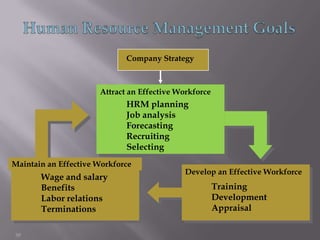 Presentation On Human Resource Management | PPTX