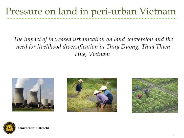 Agricultural land conversion and livelihood diversification in Thuy D…