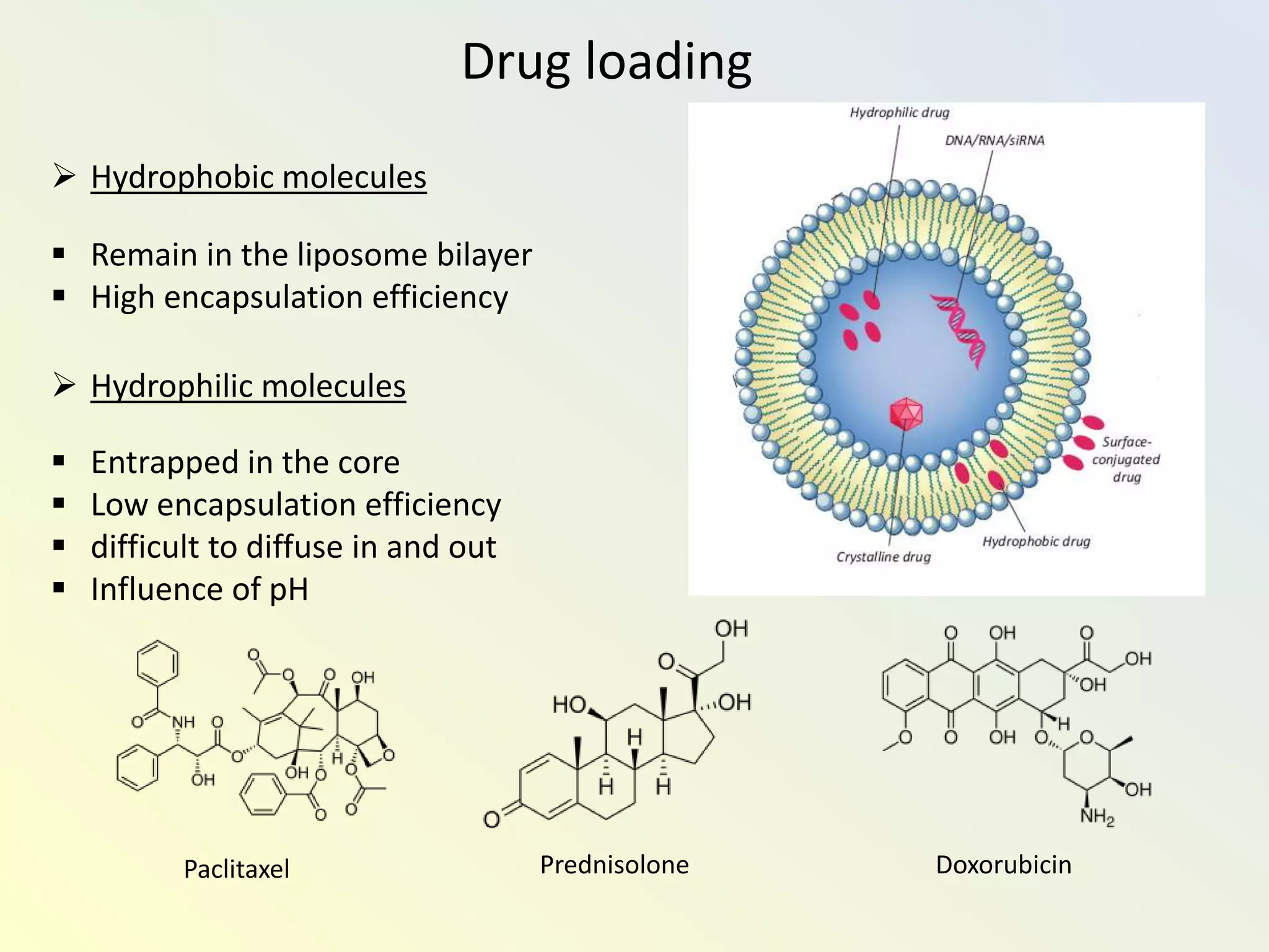 Drug loading
 Hydrophobic molecules
 Remain in the liposome bilayer
 High encapsulation efficiency
 Hydrophilic molecules
 Entrapped in the core
 Low encapsulation efficiency
 difficult to diffuse in and out
 Influence of pH
DoxorubicinPaclitaxel Prednisolone
 