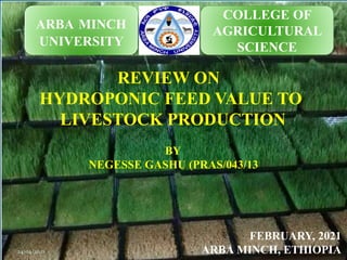 ARBA MINCH
UNIVERSITY
COLLEGE OF
AGRICULTURAL
SCIENCE
REVIEW ON
HYDROPONIC FEED VALUE TO
LIVESTOCK PRODUCTION
BY
NEGESSE GASHU (PRAS/043/13
FEBRUARY, 2021
ARBA MINCH, ETHIOPIA
24/04/2021 1
 