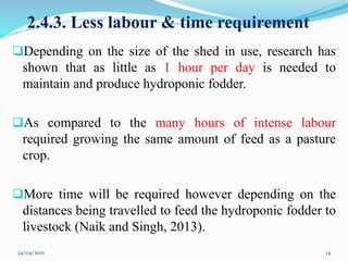2.4.3. Less labour & time requirement
Depending on the size of the shed in use, research has
shown that as little as 1 hour per day is needed to
maintain and produce hydroponic fodder.
As compared to the many hours of intense labour
required growing the same amount of feed as a pasture
crop.
More time will be required however depending on the
distances being travelled to feed the hydroponic fodder to
livestock (Naik and Singh, 2013).
24/04/2021 14
 