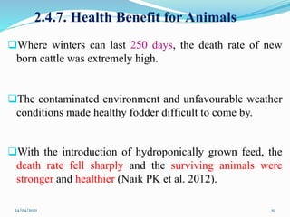 2.4.7. Health Benefit for Animals
Where winters can last 250 days, the death rate of new
born cattle was extremely high.
The contaminated environment and unfavourable weather
conditions made healthy fodder difficult to come by.
With the introduction of hydroponically grown feed, the
death rate fell sharply and the surviving animals were
stronger and healthier (Naik PK et al. 2012).
24/04/2021 19
 