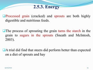 2.5.3. Energy
Processed grain (cracked) and sprouts are both highly
digestible and nutritious feeds.
The process of sprouting the grain turns the starch in the
grain to sugars in the sprouts (Sneath and McIntosh,
2003).
A trial did find that steers did perform better than expected
on a diet of sprouts and hay
24/04/2021 23
 
