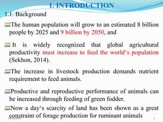 1. INTRODUCTION
1.1. Background
The human population will grow to an estimated 8 billion
people by 2025 and 9 billion by 2050, and
It is widely recognized that global agricultural
productivity must increase to feed the world‘s population
(Sekhon, 2014).
The increase in livestock production demands nutrient
requirement to feed animals.
Productive and reproductive performance of animals can
be increased through feeding of green fodder.
Now a day‘s scarcity of land has been shown as a great
constraint of forage production for ruminant animals
24/04/2021 3
 