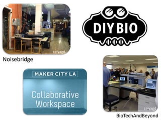 BioTechAndBeyond
Noisebridge
celyagd
celyagd
 