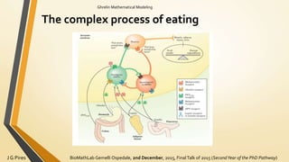 BioMathLab Gemelli Ospedale, 2nd December, 2015, FinalTalk of 2015 (SecondYear of the PhD Pathway)J G Pires
Ghrelin Mathematical Modeling
The complex process of eating
 