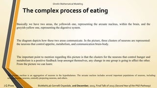 BioMathLab Gemelli Ospedale, 2nd December, 2015, FinalTalk of 2015 (SecondYear of the PhD Pathway)J G Pires
Ghrelin Mathematical Modeling
The complex process of eating
Basically we have two areas, the yellowish one, representing the arcuate nucleus, within the brain, and the
greyish-yellow one, representing the digestive system.
The diagram depicts how these two areas communicate. In the picture, three clusters of neurons are represented:
the neurons that control appetite, metabolism, and communication brain-body.
The important point to mention regarding this picture is that the clusters for the neurons that control hunger and
metabolism is a positive feedback loop amongst themselves, any change in one group is going to affect the other.
From the picture we can learn:
The arcuate nucleus is an aggregation of neurons in the hypothalamus. The arcuate nucleus includes several important populations of neurons, including:
neuroendocrine neurons, centrally projecting neurons, and others.
 