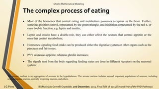 BioMathLab Gemelli Ospedale, 2nd December, 2015, FinalTalk of 2015 (SecondYear of the PhD Pathway)J G Pires
Ghrelin Mathematical Modeling
The complex process of eating
The arcuate nucleus is an aggregation of neurons in the hypothalamus. The arcuate nucleus includes several important populations of neurons, including:
neuroendocrine neurons, centrally projecting neurons, and others.
 Most of the hormones that control eating and metabolism possesses receptors in the brain. Further,
some has positive control, represented by the green triangle, and inhibition, represented by the red-x, or
even double function, e.g. leptin and insulin;
 Leptin and insulin have a double-role, they can either affect the neurons that control appetite or the
ones that control metabolism;
 Hormones signaling food intake can be produced either the digestive system or other organs such as the
pancreas and fat tissues;
 PYY decreases appetite, whereas ghrelin increases;
 The signals sent from the body regarding feeding states are done in different receptors on the neuronal
system;
 
