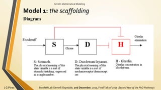BioMathLab Gemelli Ospedale, 2nd December, 2015, FinalTalk of 2015 (SecondYear of the PhD Pathway)J G Pires
Ghrelin Mathematical Modeling
Model 1: the scaffolding
Diagram
 