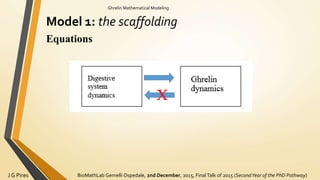 BioMathLab Gemelli Ospedale, 2nd December, 2015, FinalTalk of 2015 (SecondYear of the PhD Pathway)J G Pires
Ghrelin Mathematical Modeling
Model 1: the scaffolding
Equations
 