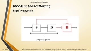 BioMathLab Gemelli Ospedale, 2nd December, 2015, FinalTalk of 2015 (SecondYear of the PhD Pathway)J G Pires
Ghrelin Mathematical Modeling
Model 1: the scaffolding
Digestive System
 