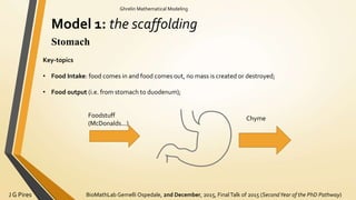 BioMathLab Gemelli Ospedale, 2nd December, 2015, FinalTalk of 2015 (SecondYear of the PhD Pathway)J G Pires
Ghrelin Mathematical Modeling
Model 1: the scaffolding
Stomach
Key-topics
• Food Intake: food comes in and food comes out, no mass is created or destroyed;
• Food output (i.e. from stomach to duodenum);
Foodstuff
(McDonalds...)
Chyme
 