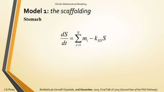 BioMathLab Gemelli Ospedale, 2nd December, 2015, FinalTalk of 2015 (SecondYear of the PhD Pathway)J G Pires
Ghrelin Mathematical Modeling
Model 1: the scaffolding
Stomach
Skm
dt
dS
SD
N
i
i  1
 
