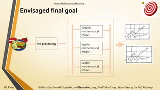 BioMathLab Gemelli Ospedale, 2nd December, 2015, FinalTalk of 2015 (SecondYear of the PhD Pathway)J G Pires
Ghrelin Mathematical Modeling
Envisaged final goal
Ghrelin
mathematical
model
Insulin
mathematical
model
Leptin
mathematical
model
Pre-processing
 