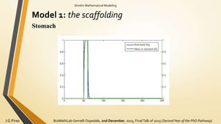 BioMathLab Gemelli Ospedale, 2nd December, 2015, FinalTalk of 2015 (SecondYear of the PhD Pathway)J G Pires
Ghrelin Mathematical Modeling
Model 1: the scaffolding
Stomach
 