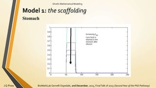 BioMathLab Gemelli Ospedale, 2nd December, 2015, FinalTalk of 2015 (SecondYear of the PhD Pathway)J G Pires
Ghrelin Mathematical Modeling
Model 1: the scaffolding
Stomach
 