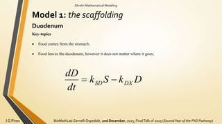 BioMathLab Gemelli Ospedale, 2nd December, 2015, FinalTalk of 2015 (SecondYear of the PhD Pathway)J G Pires
Ghrelin Mathematical Modeling
Model 1: the scaffolding
Duodenum
Key-topics
 Food comes from the stomach;
 Food leaves the duodenum, however it does not matter where it goes;
DkSk
dt
dD
DXSD 
 