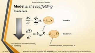 BioMathLab Gemelli Ospedale, 2nd December, 2015, FinalTalk of 2015 (SecondYear of the PhD Pathway)J G Pires
Ghrelin Mathematical Modeling
Model 1: the scaffolding
Duodenum
DkSk
dt
dD
DXSD 
Skm
dt
dS
SD
N
i
i  1
Stomach
Doudenum
Out of the system, compartment X
One directional mass movement,
no vomiting!
 