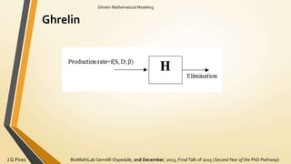 BioMathLab Gemelli Ospedale, 2nd December, 2015, FinalTalk of 2015 (SecondYear of the PhD Pathway)J G Pires
Ghrelin Mathematical Modeling
Ghrelin
 