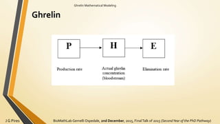 BioMathLab Gemelli Ospedale, 2nd December, 2015, FinalTalk of 2015 (SecondYear of the PhD Pathway)J G Pires
Ghrelin Mathematical Modeling
Ghrelin
 