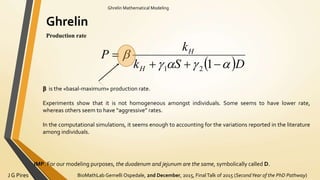 BioMathLab Gemelli Ospedale, 2nd December, 2015, FinalTalk of 2015 (SecondYear of the PhD Pathway)J G Pires
Ghrelin Mathematical Modeling
Ghrelin
Production rate
 DSk
k
P
H
H




121
β is the «basal-maximum» production rate.
Experiments show that it is not homogeneous amongst individuals. Some seems to have lower rate,
whereas others seem to have “aggressive” rates.
In the computational simulations, it seems enough to accounting for the variations reported in the literature
among individuals.
IMP. For our modeling purposes, the duodenum and jejunum are the same, symbolically called D.
 