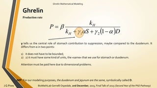 BioMathLab Gemelli Ospedale, 2nd December, 2015, FinalTalk of 2015 (SecondYear of the PhD Pathway)J G Pires
Ghrelin Mathematical Modeling
Ghrelin
Production rate
 DSk
k
P
H
H




121
γ tells us the central role of stomach contribution to suppression, maybe compared to the duodenum. It
differs from α in two points:
1) it does not have to be bounded;
2) 2) it must have some kind of units, the «same» that we use for stomach or duodenum.
Attention must be paid here due to dimensional problems.
IMP. For our modeling purposes, the duodenum and jejunum are the same, symbolically called D.
 