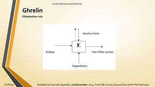 BioMathLab Gemelli Ospedale, 2nd December, 2015, FinalTalk of 2015 (SecondYear of the PhD Pathway)J G Pires
Ghrelin Mathematical Modeling
Ghrelin
Elimination rate
 