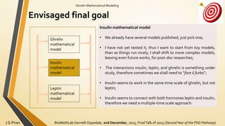 BioMathLab Gemelli Ospedale, 2nd December, 2015, FinalTalk of 2015 (SecondYear of the PhD Pathway)J G Pires
Ghrelin Mathematical Modeling
Envisaged final goal
Ghrelin
mathematical
model
Insulin
mathematical
model
Leptin
mathematical
model
Insulin mathematical model
• We already have several models published, just pick one;
• I have not yet tested it, thus I want to start from toy models,
than as things run nicely, I shall shift to more complex models,
leaving even future works, for post-doc researches;
• The interactions insulin, leptin, and ghrelin is something under
study, therefore sometimes we shall need to “fare il furbo”;
• Insulin seems to work in the same time-scale of ghrelin, but not
leptin;
• Insulin seems to connect with both hormones leptin and insulin,
therefore we need a multiple-time scale approach.
 