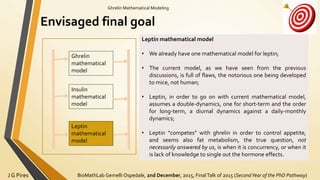 BioMathLab Gemelli Ospedale, 2nd December, 2015, FinalTalk of 2015 (SecondYear of the PhD Pathway)J G Pires
Ghrelin Mathematical Modeling
Envisaged final goal
Ghrelin
mathematical
model
Insulin
mathematical
model
Leptin
mathematical
model
Leptin mathematical model
• We already have one mathematical model for leptin;
• The current model, as we have seen from the previous
discussions, is full of flaws, the notorious one being developed
to mice, not human;
• Leptin, in order to go on with current mathematical model,
assumes a double-dynamics, one for short-term and the order
for long-term, a diurnal dynamics against a daily-monthly
dynamics;
• Leptin “competes” with ghrelin in order to control appetite,
and seems also fat metabolism, the true question, not
necessarily answered by us, is when it is concurrency, or when it
is lack of knowledge to single out the hormone effects.
 