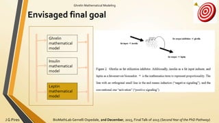 BioMathLab Gemelli Ospedale, 2nd December, 2015, FinalTalk of 2015 (SecondYear of the PhD Pathway)J G Pires
Ghrelin Mathematical Modeling
Envisaged final goal
Ghrelin
mathematical
model
Insulin
mathematical
model
Leptin
mathematical
model
 