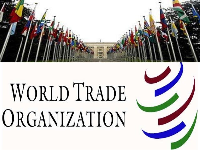 Essay about world trade organization