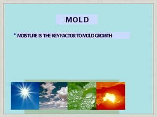 M O L D MOISTURE IS THE KEY FACTOR TO MOLD GROWTH 