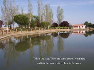 This is the lake. There are some ducks living here
and it is the most visited place in the town.
 
