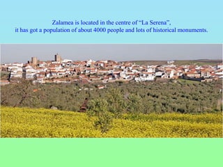 Zalamea is located in the centre of “La Serena”,
it has got a population of about 4000 people and lots of historical monuments.
 