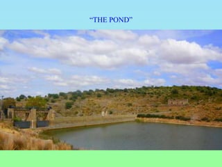 “THE POND”
 