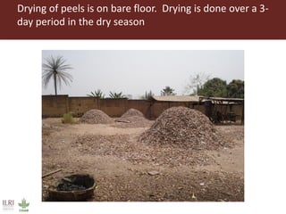 From Not-Want to Waste-Not: cassava peels as product