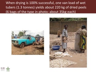 From Not-Want to Waste-Not: cassava peels as product