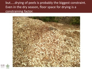 From Not-Want to Waste-Not: cassava peels as product