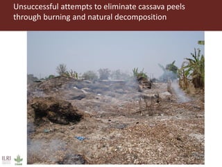 From Not-Want to Waste-Not: cassava peels as product