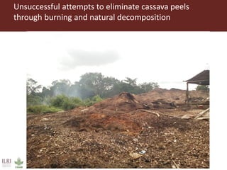 From Not-Want to Waste-Not: cassava peels as product
