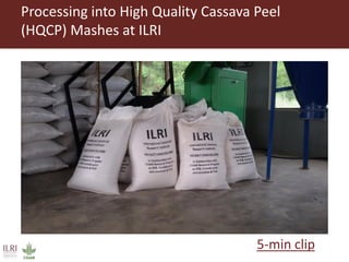 From Not-Want to Waste-Not: cassava peels as product